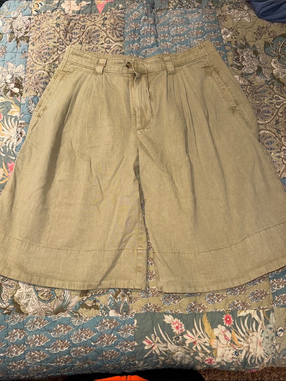 Women’s Aloe Pleated Front Casual Shorts-Free People